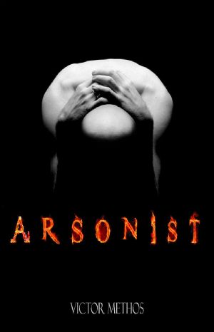 [Jon Stanton Thrillers 04] • Arsonist